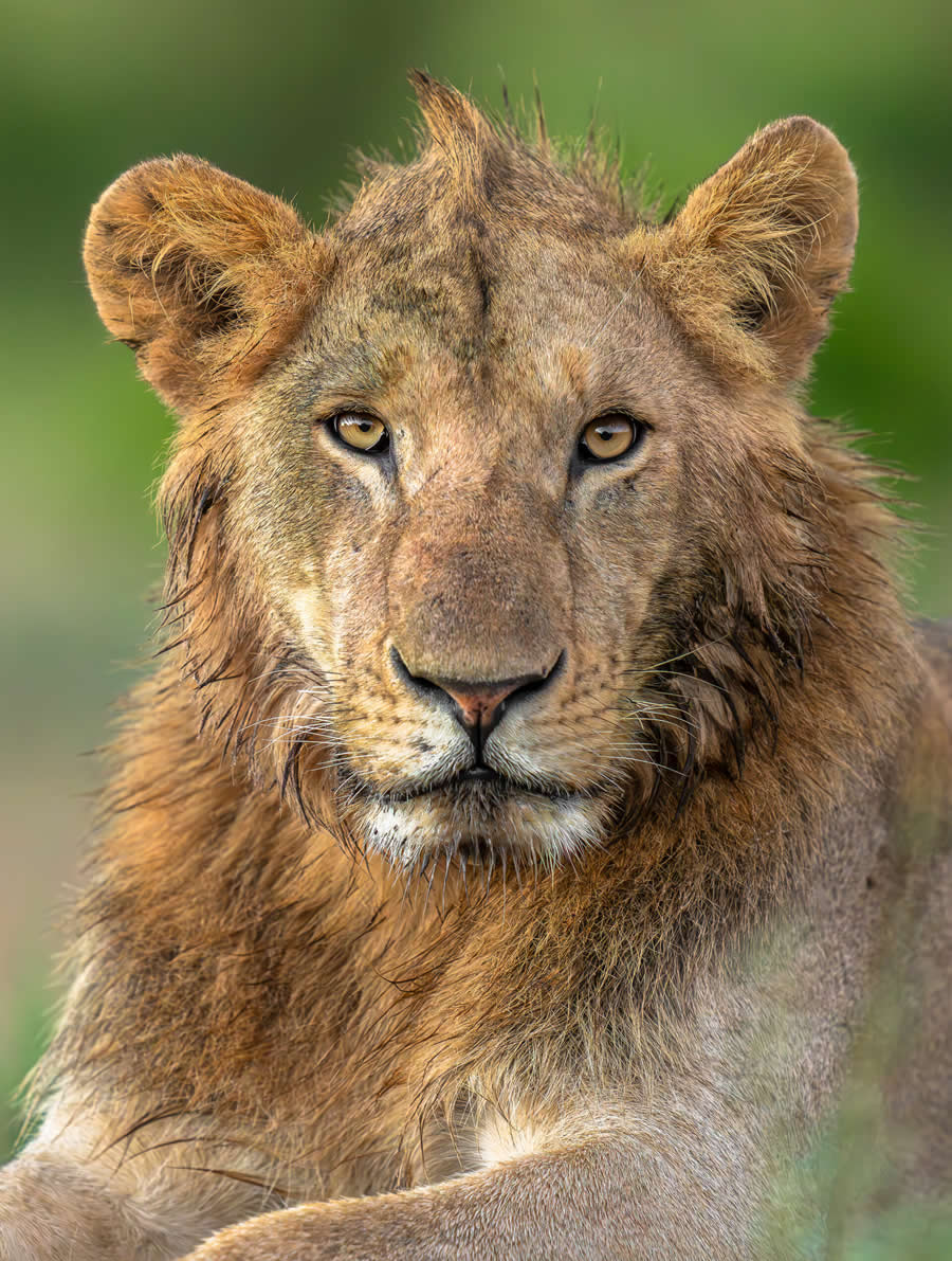 Nature and Wildlife Photography by Hari Kumar Prasannakumar