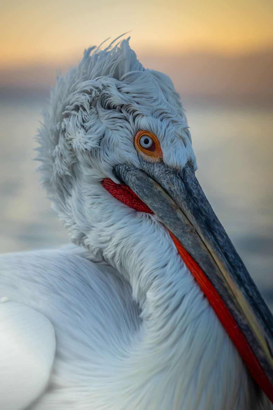 Nature and Wildlife Photography by Hari Kumar Prasannakumar