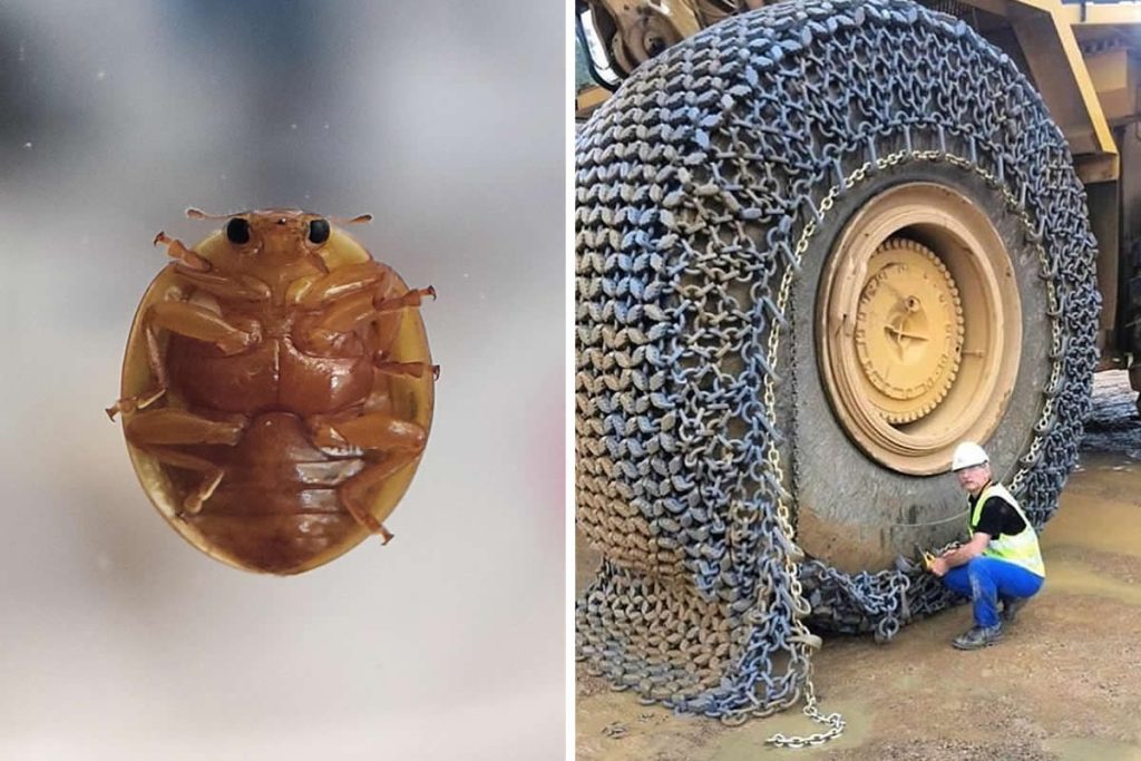 Interesting Photos That Look Like They Are From Another World