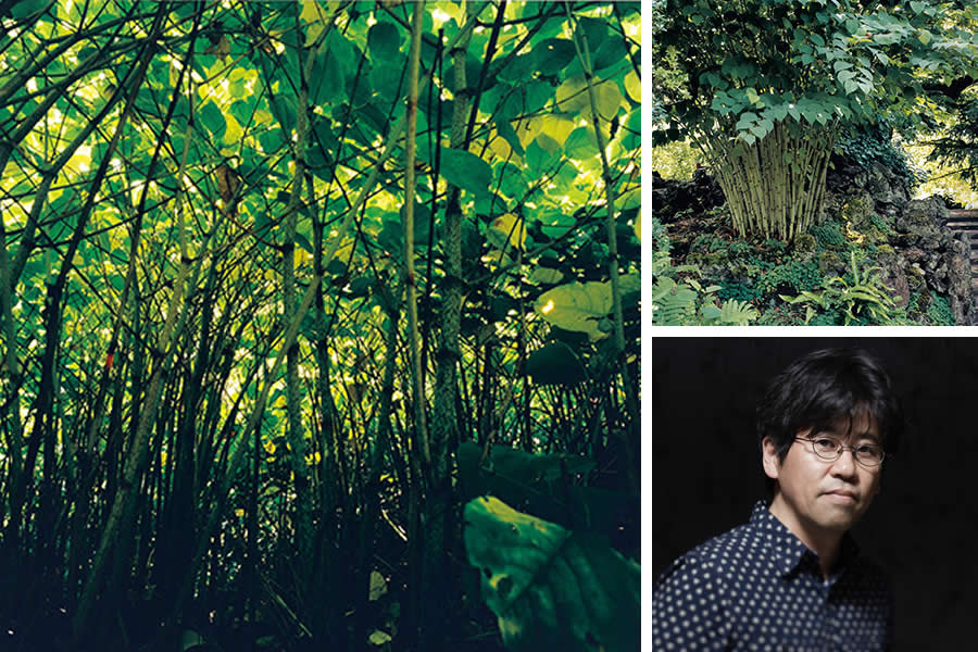 Japanese Documentary Photographers You Should Know About