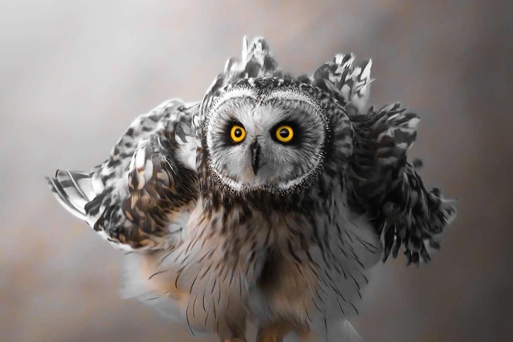 Mesmerizing Nature Photos That Celebrate the Beauty of the Natural World