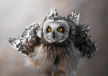 Mesmerizing Nature Photos That Celebrate the Beauty of the Natural World
