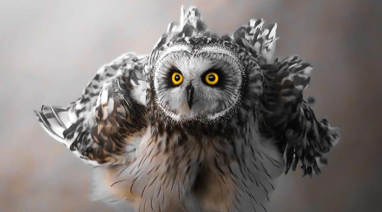 Mesmerizing Nature Photos That Celebrate the Beauty of the Natural World