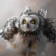 Mesmerizing Nature Photos That Celebrate the Beauty of the Natural World
