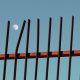 Minimalist Architecture Photos That Reveal the Elegance of Simplicity
