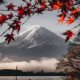 Mount Fuji in Every Season and from Every Angle by Ryosuke Kosuge