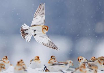 National Geographic Traveller 2025 Competition Winners