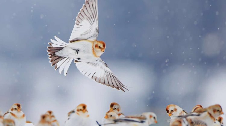 National Geographic Traveller 2025 Competition Winners