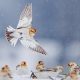 National Geographic Traveller 2025 Competition Winners