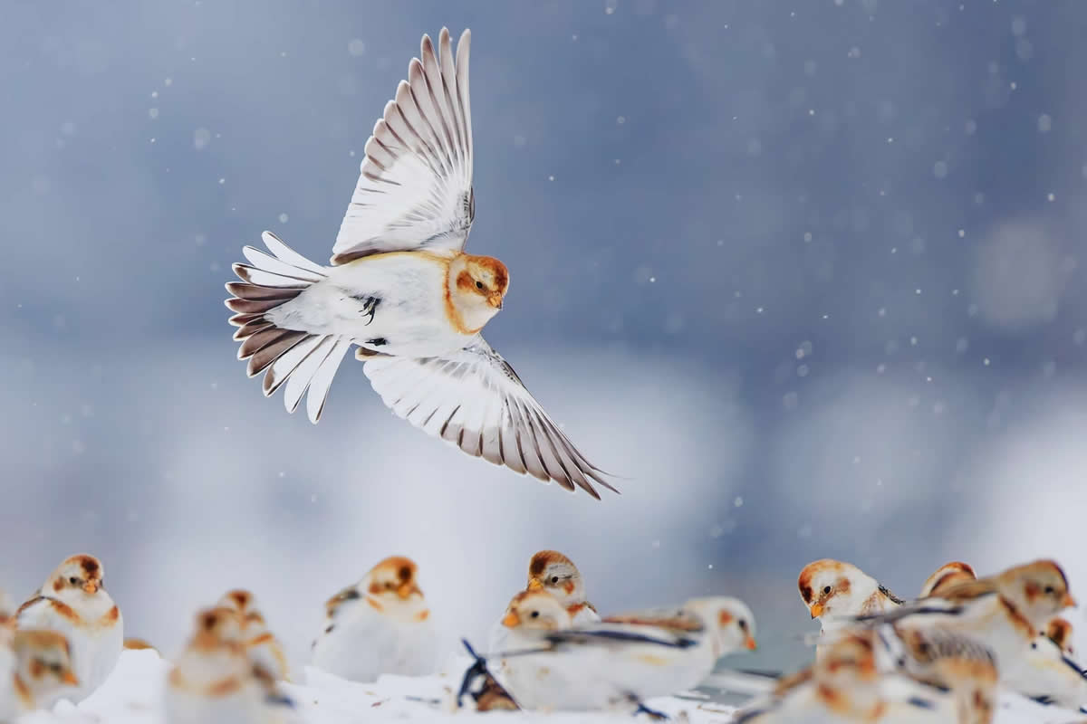 National Geographic Traveller 2025 Competition Winners