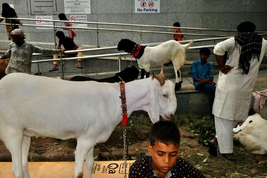 Old Delhi Street Photography Series by Aniruddha Guha Sarkar