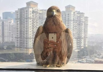 Real Photos That Look Photoshopped But They Completely Real