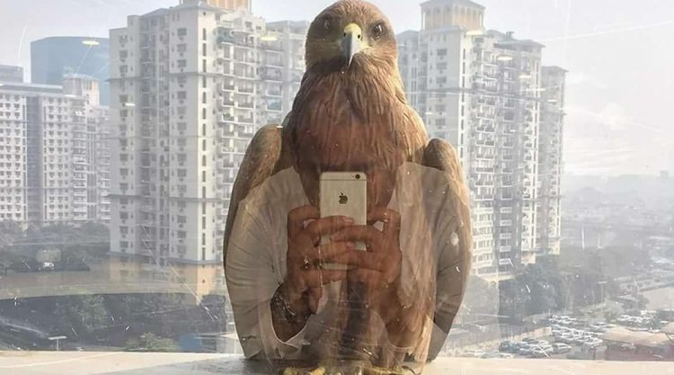 Real Photos That Look Photoshopped But They Completely Real