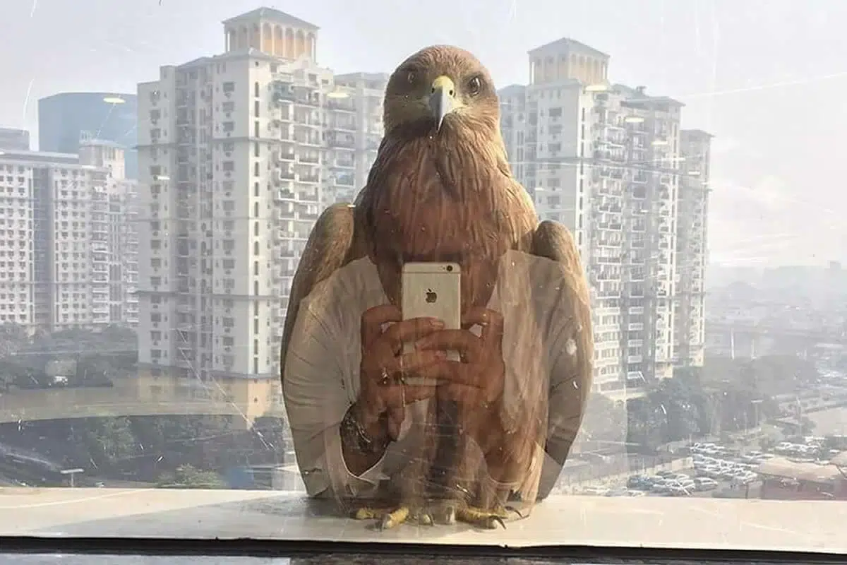 Real Photos That Look Photoshopped But They Completely Real