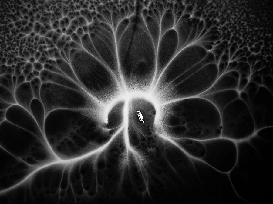 Black and White Photos from the 2025 reFocus Photography Awards