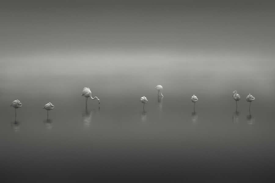 Black and White Photos from the 2025 reFocus Photography Awards