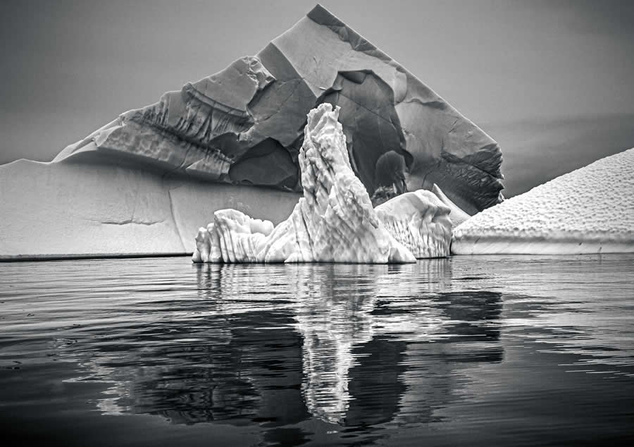Black and White Photos from the 2025 reFocus Photography Awards