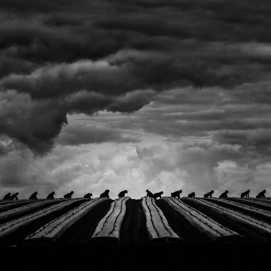 Black and White Photos from the 2025 reFocus Photography Awards