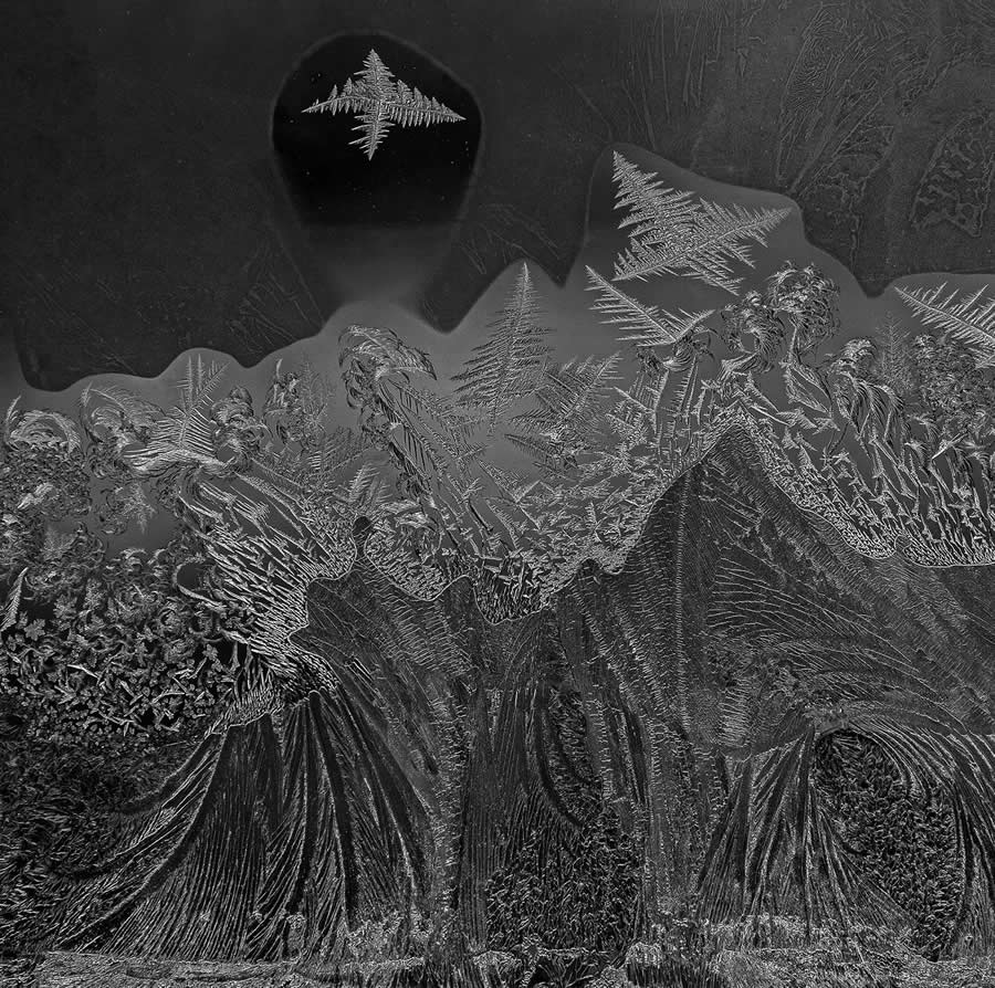 Black and White Photos from the 2025 reFocus Photography Awards