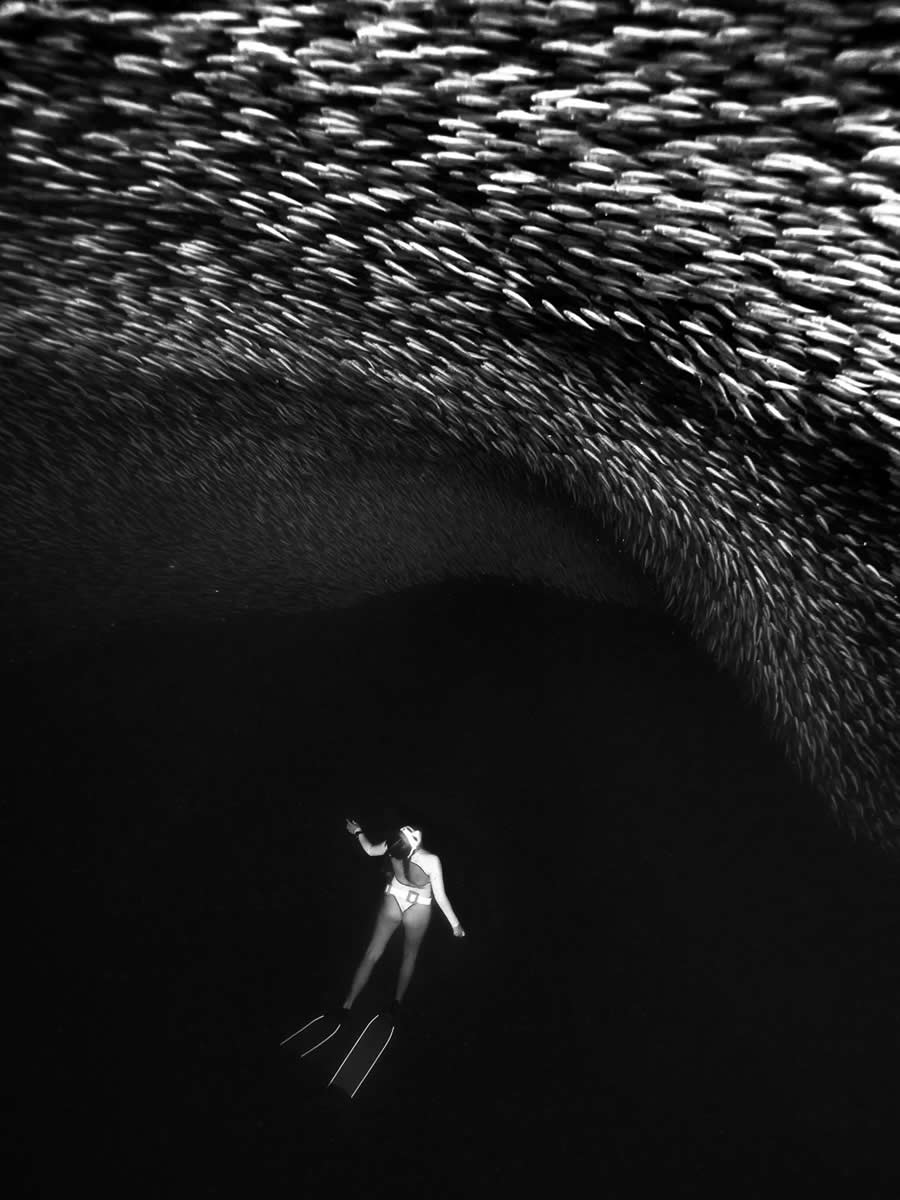 Black and White Photos from the 2025 reFocus Photography Awards