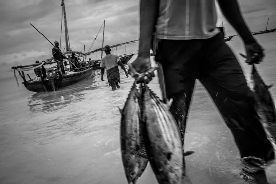 Black and White Photos from the 2025 reFocus Photography Awards