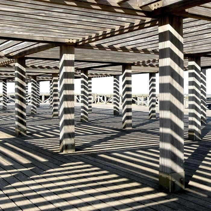 Shadow Illusions That Will Make You Look Twice