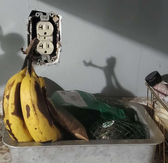 Shadow Illusions That Will Make You Look Twice
