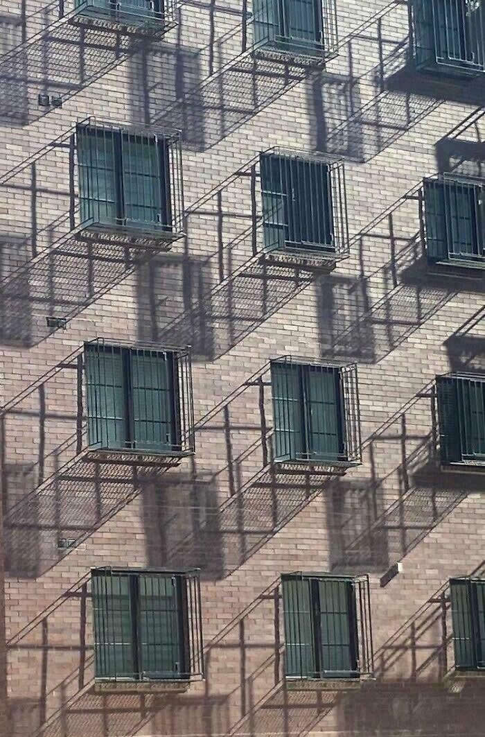 Shadow Illusions That Will Make You Look Twice