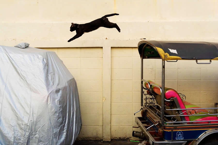 Street Photos by Tavepong Pratoomwong That Show the Importance of Timing and Composition