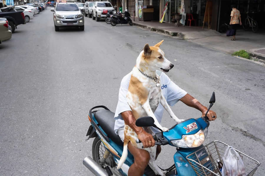Street Photos by Tavepong Pratoomwong That Show the Importance of Timing and Composition