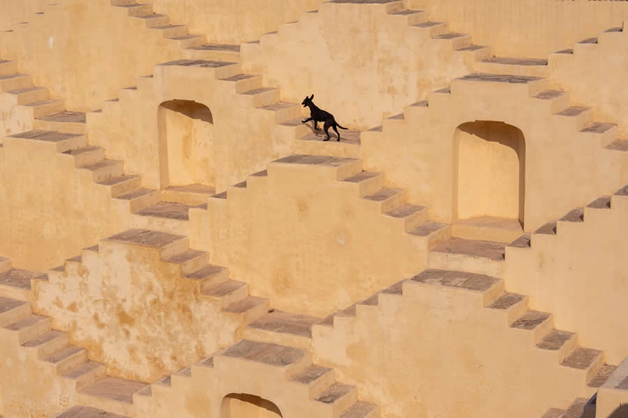 Street Photos by Tavepong Pratoomwong That Show the Importance of Timing and Composition