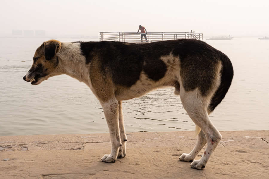Street Photos by Tavepong Pratoomwong That Show the Importance of Timing and Composition