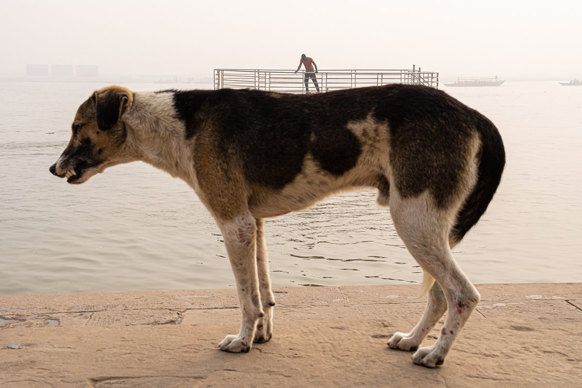 Street Photos by Tavepong Pratoomwong That Show the Importance of Timing and Composition