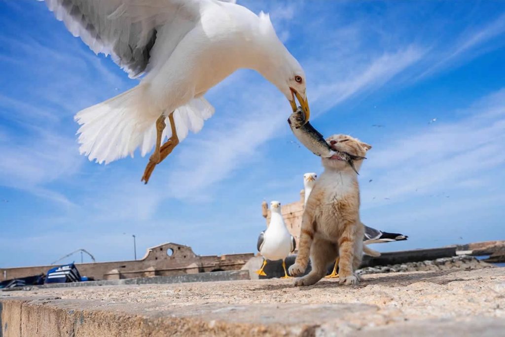 Street Photos by Tavepong Pratoomwong That Show the Importance of Timing and Composition