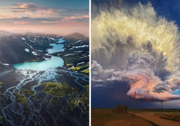 Stunning Moments in Nature That Reveal Its True Power and Grace