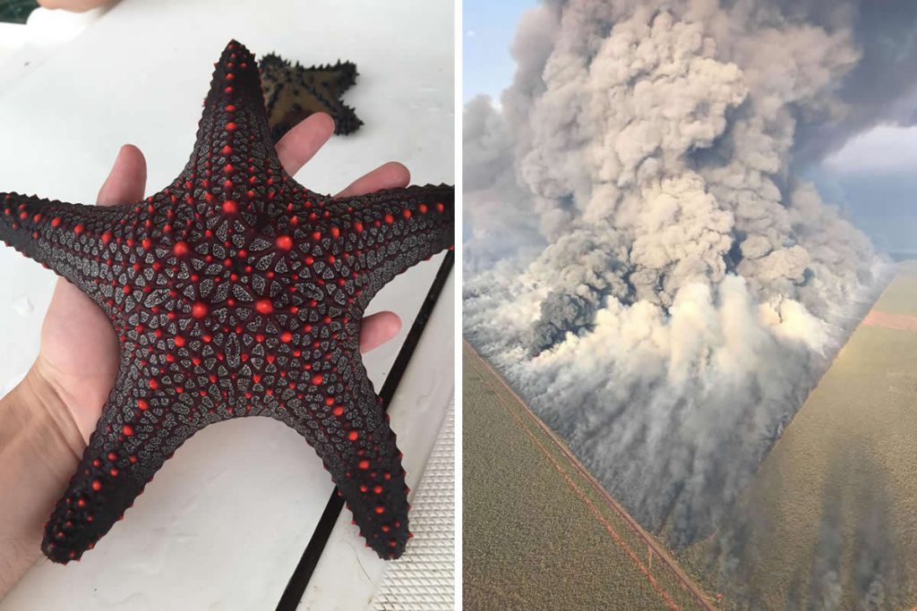 Unusual Photos That Uncover the Strange and Surprising Side of Our World