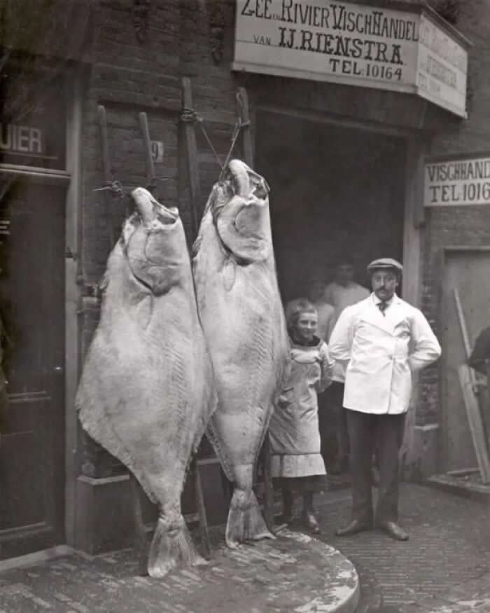 Photos That Reveal the Untold and Unseen Side of History