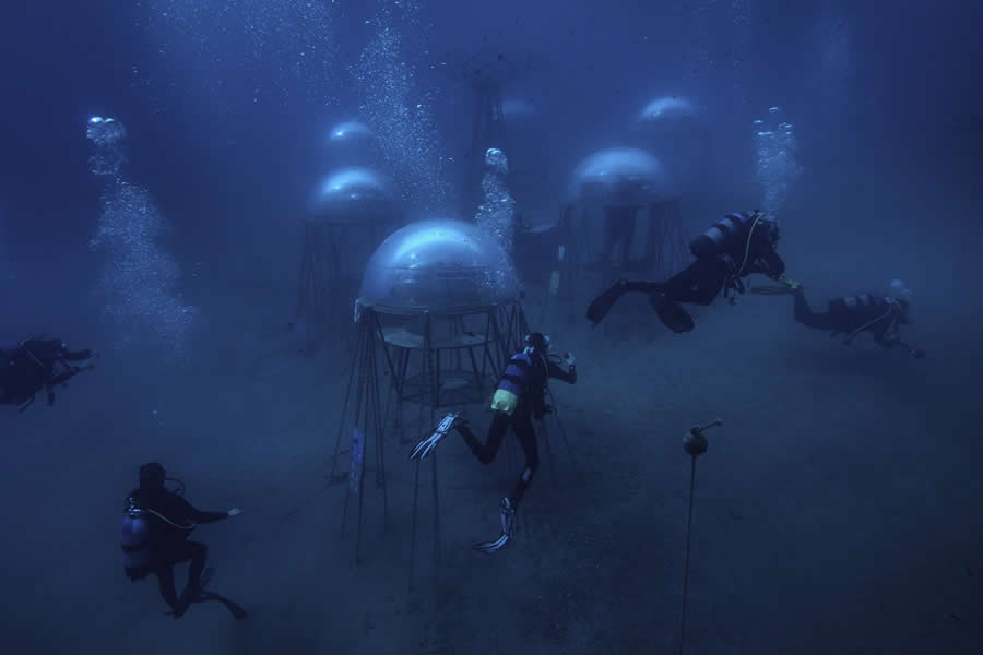 Powerful Photos from the Wellcome Photography Prize 2025
