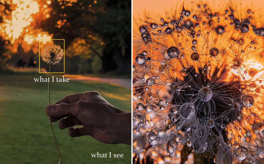 Magical Photos of What I see vs What I Get by Kristina Makeeva