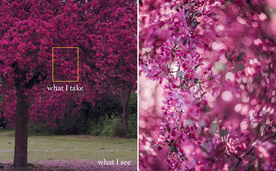 Magical Photos of What I see vs What I Get by Kristina Makeeva