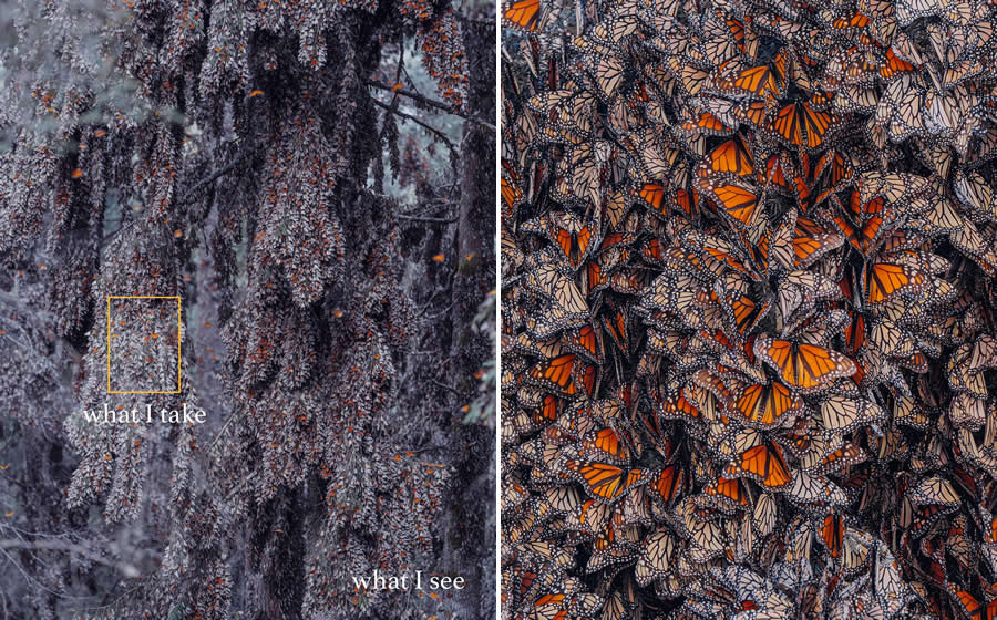 Magical Photos of What I see vs What I Get by Kristina Makeeva