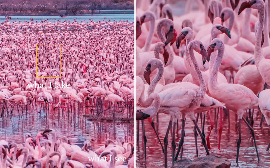 Magical Photos of What I see vs What I Get by Kristina Makeeva