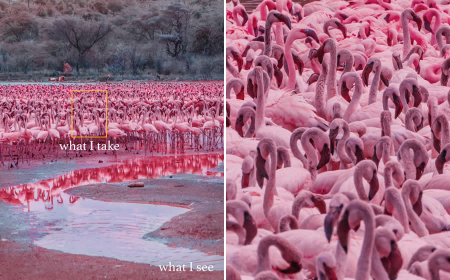 Magical Photos of What I see vs What I Get by Kristina Makeeva