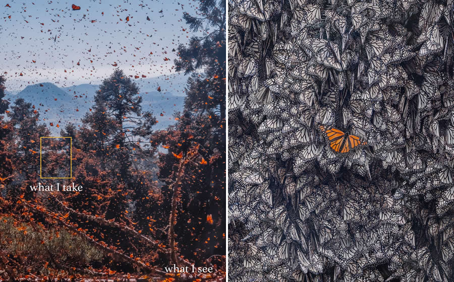 Magical Photos of What I see vs What I Get by Kristina Makeeva