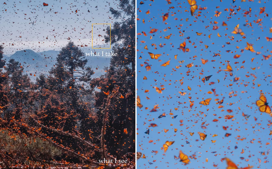 Magical Photos of What I see vs What I Get by Kristina Makeeva