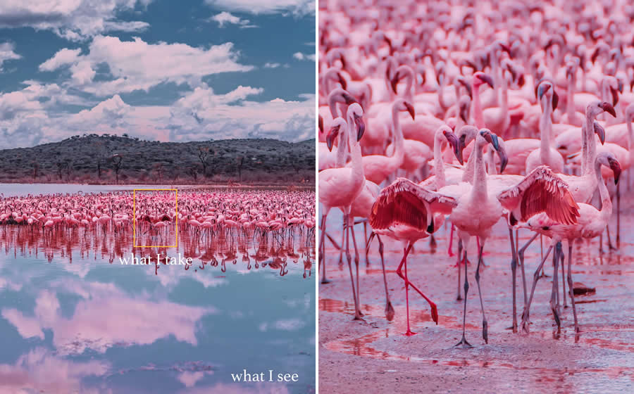 Magical Photos of What I see vs What I Get by Kristina Makeeva