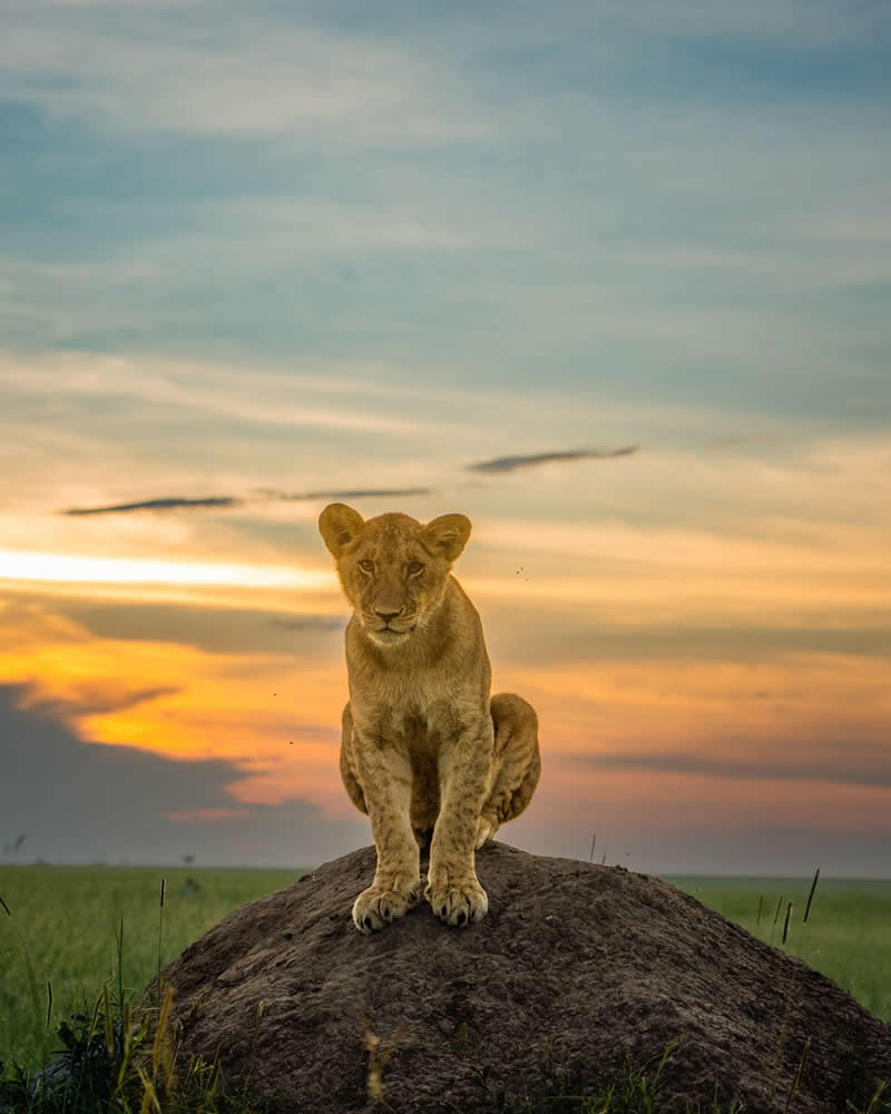 Nature and Wildlife Photography by Munish Palnaiappan