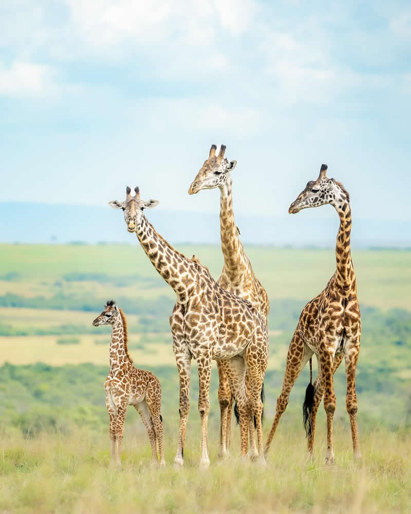 Nature and Wildlife Photography by Munish Palnaiappan