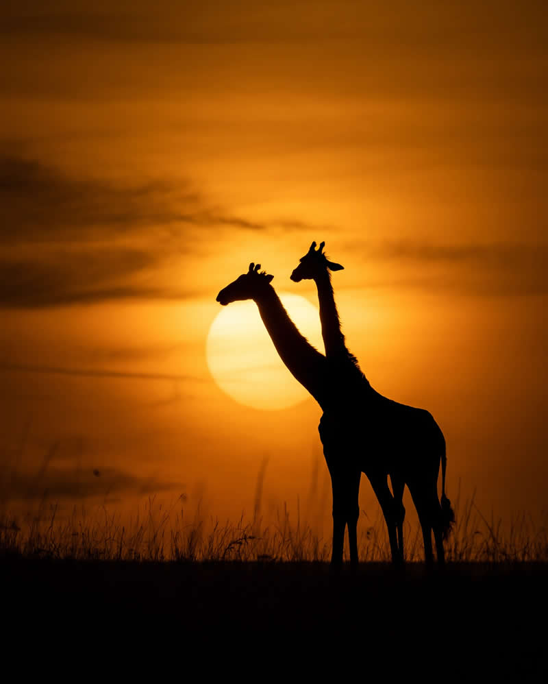 Nature and Wildlife Photography by Munish Palnaiappan