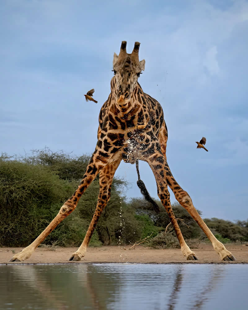 Nature and Wildlife Photography by Munish Palnaiappan